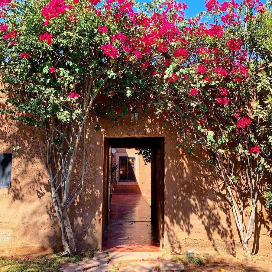 El Harkat La Ferme Berbere Adult Only B&B 외부 사진