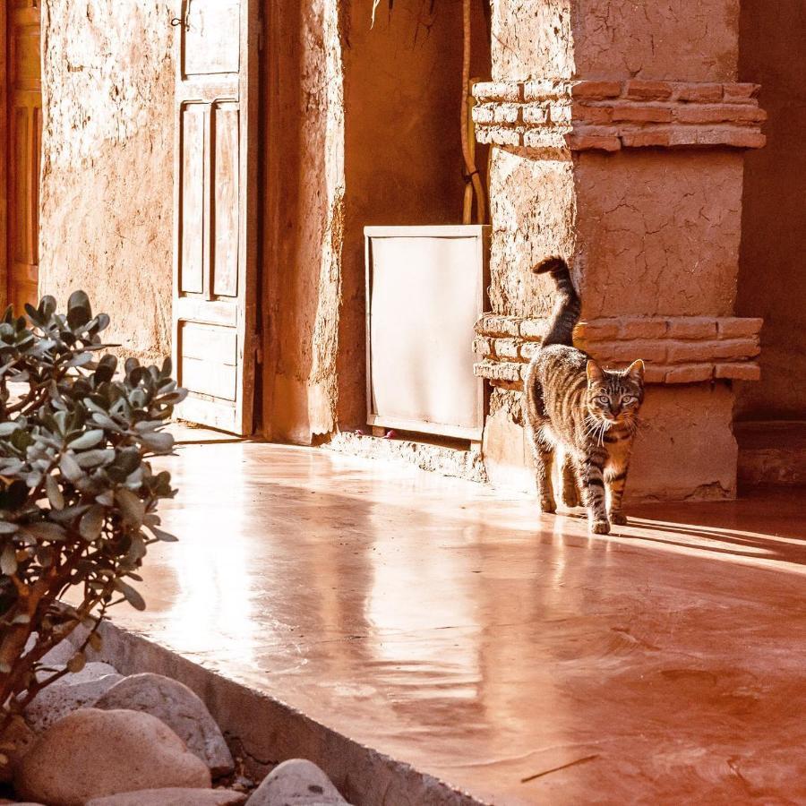 El Harkat La Ferme Berbere Adult Only B&B 외부 사진