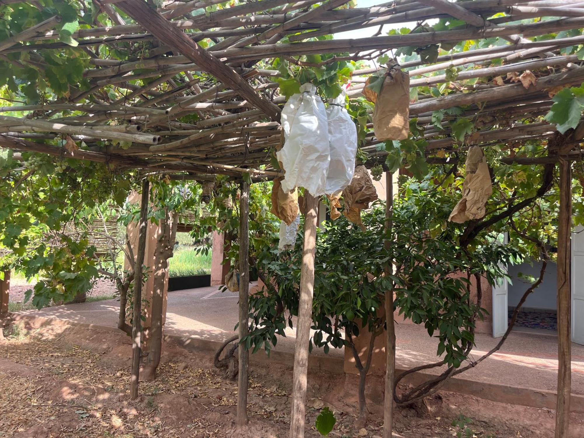 El Harkat La Ferme Berbere Adult Only B&B 외부 사진