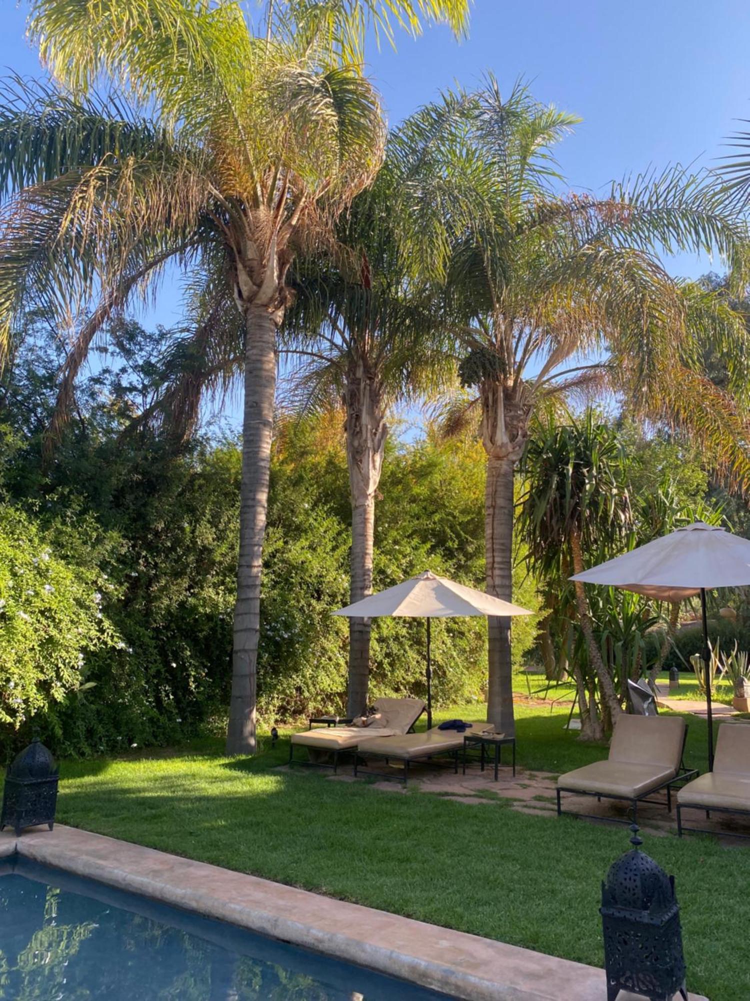 El Harkat La Ferme Berbere Adult Only B&B 외부 사진