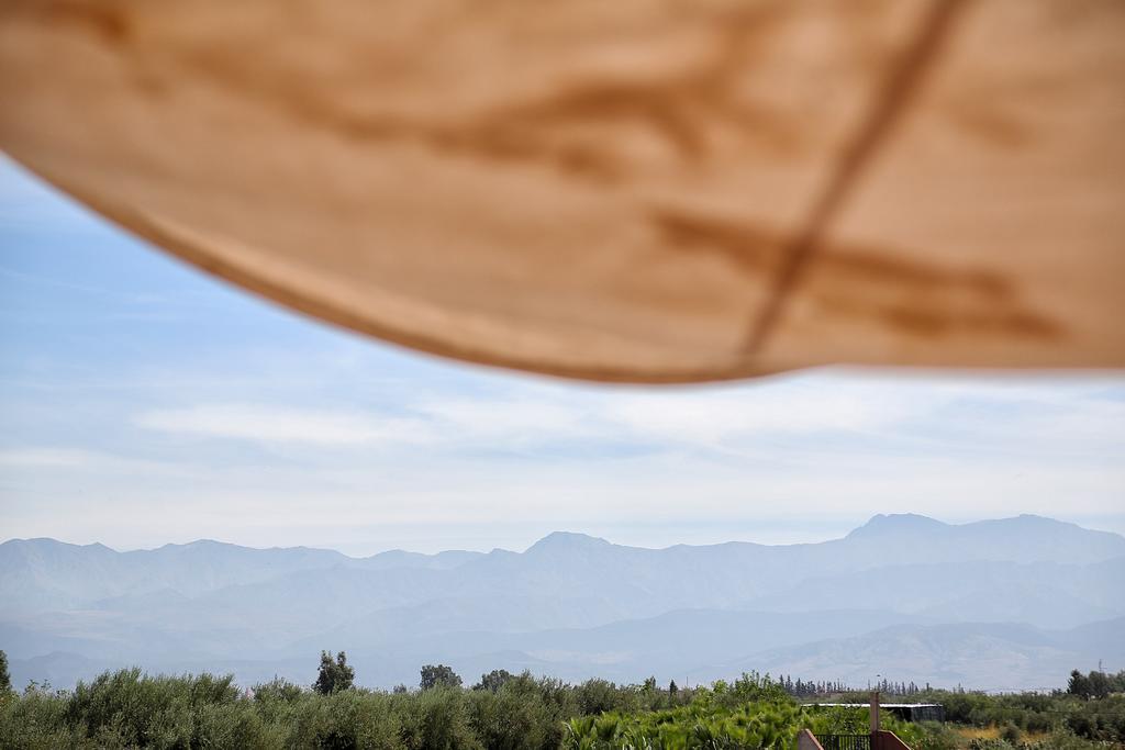 El Harkat La Ferme Berbere Adult Only B&B 외부 사진